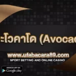 สิ่งที่ต้องระวังก่อนตัดสินใจทาน อะโวคาโด (Avocado) 